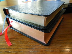 Cambridge pitt minion 047