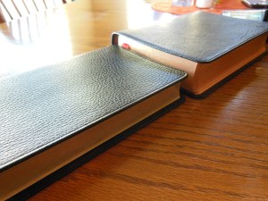 Cambridge pitt minion 048