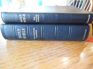 Cambridge pitt minion 049