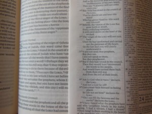 Cambridge pitt minion 050