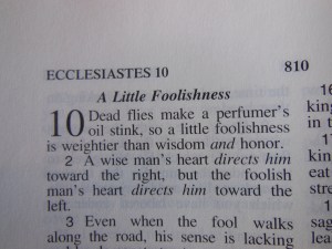 charles stanley hard cover nasb 015