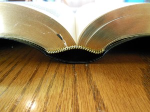 1560 hendrickson Geneva Bible 015