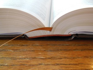 thomas nelson nkkv study bible hard cover 016