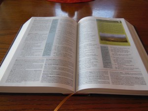 thomas nelson nkkv study bible hard cover 017