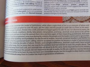 thomas nelson nkkv study bible hard cover 022