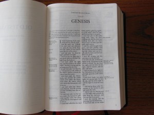 three bibles 095