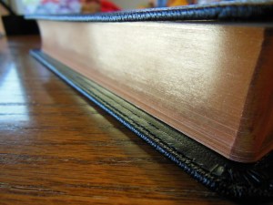 cambridge kjv, holman ministers kjv and funky lil kjv 015