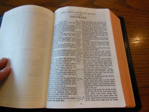 cambridge kjv, holman ministers kjv and funky lil kjv 041