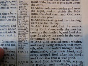 cambridge kjv, holman ministers kjv and funky lil kjv 043