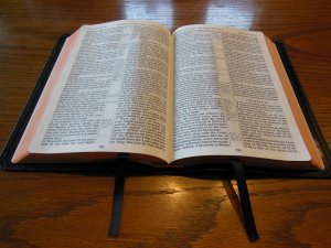 cambridge kjv, holman ministers kjv and funky lil kjv 046