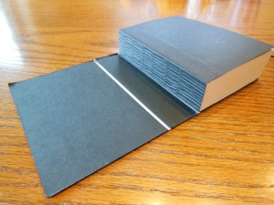 cambridge kjv, holman ministers kjv and funky lil kjv 094