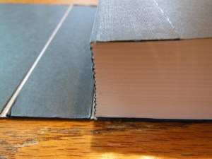 cambridge kjv, holman ministers kjv and funky lil kjv 100