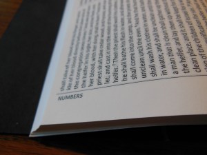 cambridge kjv, holman ministers kjv and funky lil kjv 122