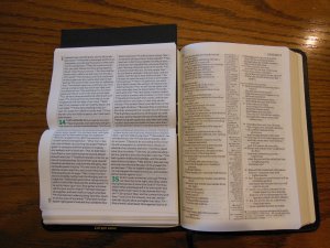 cambridge kjv, holman ministers kjv and funky lil kjv 134
