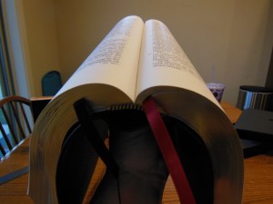 cambridge kjv, holman ministers kjv and funky lil kjv 177