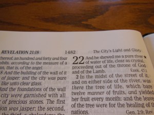 cambridge kjv, holman ministers kjv and funky lil kjv 182