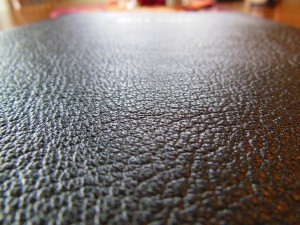 Cambridge Wide Margin NASB 013