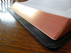 Cambridge Wide Margin NASB 031