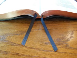 Cambridge Wide Margin NASB 032