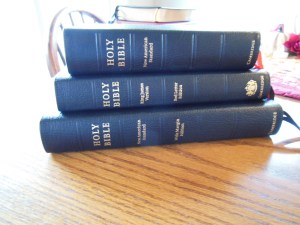 Evidence KJV LCBP Red Wide Margin LCBP Black  Hand Size 002