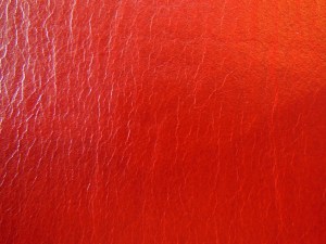 Evidence KJV LCBP Red Wide Margin LCBP Black  Hand Size 011