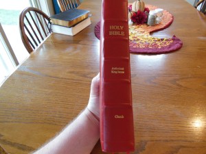 Evidence KJV LCBP Red Wide Margin LCBP Black  Hand Size 012