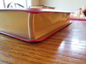 Evidence KJV LCBP Red Wide Margin LCBP Black  Hand Size 035