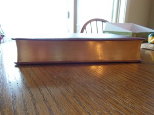 NASB Giant Print Burgundy 008