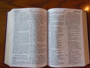 NASB Giant Print Burgundy 017