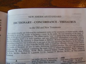 NASB Giant Print Burgundy 040