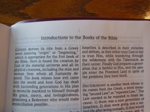 NASB Giant Print Burgundy 042