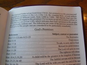 NASB Giant Print Burgundy 043