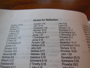 NASB Giant Print Burgundy 046