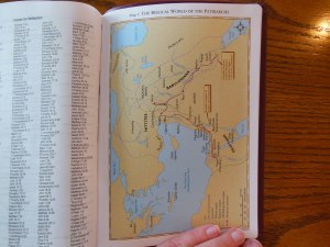 NASB Giant Print Burgundy 047