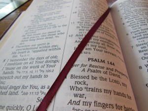 NASB Giant Print Burgundy 053