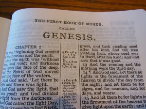 cambridge nkjv clarion and kjv cameo 022