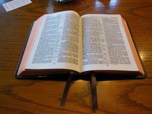 cambridge nkjv clarion and kjv cameo 023