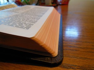 cambridge nkjv clarion and kjv cameo 024