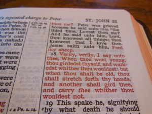 cambridge nkjv clarion and kjv cameo 026