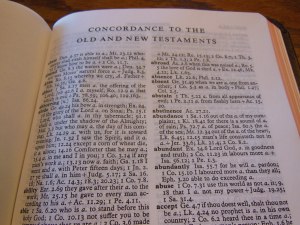 cambridge nkjv clarion and kjv cameo 028