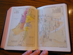 cambridge nkjv clarion and kjv cameo 033