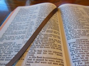 cambridge nkjv clarion and kjv cameo 045