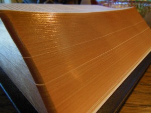 cambridge nkjv clarion and kjv cameo 065