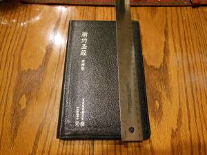 chinese new testament and greek book with workbook holman 008