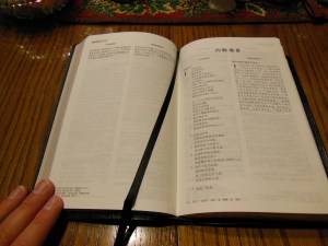 chinese new testament and greek book with workbook holman 011