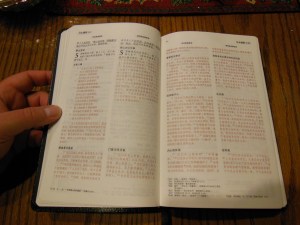 chinese new testament and greek book with workbook holman 021