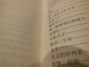 chinese new testament and greek book with workbook holman 026