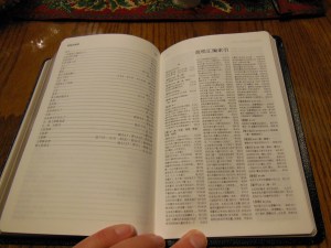 chinese new testament and greek book with workbook holman 027