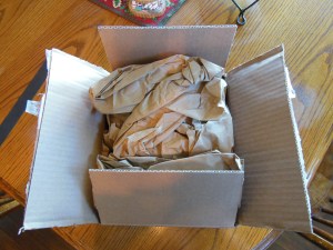 nasb large print compact 001