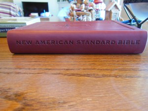 nasb large print compact 008